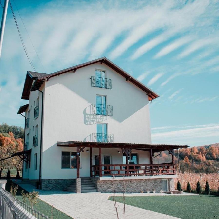 ホテル Casa Dumitru Ceraşul エクステリア 写真